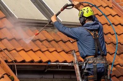 Démoussage et hydrofuge de toiture à Balme